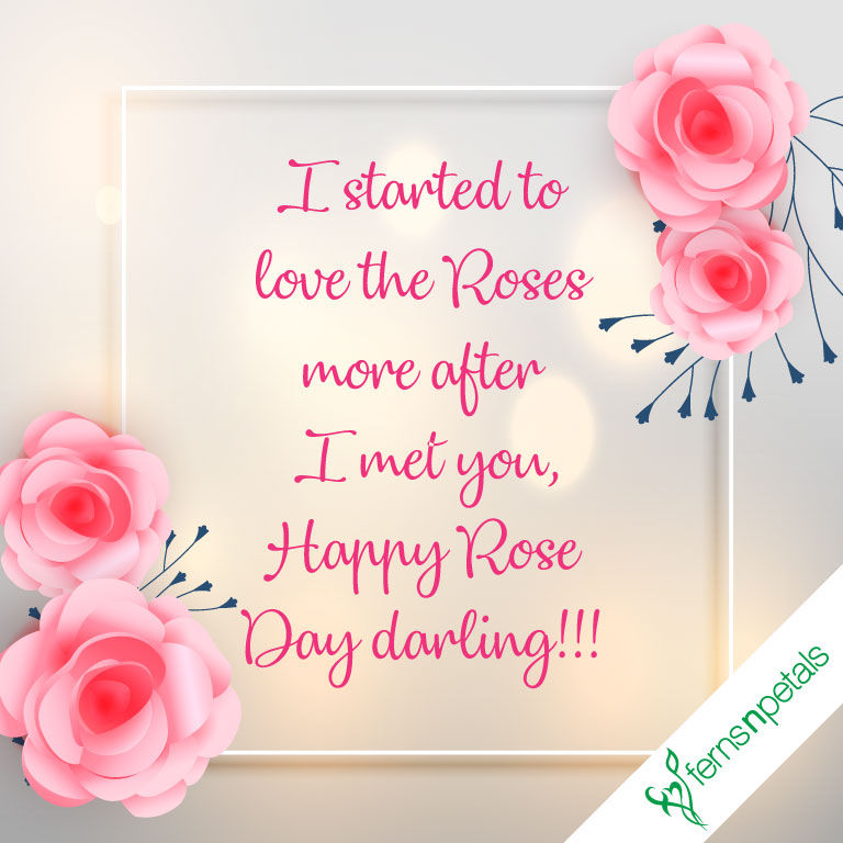 i started to love the roses more after i met you happy rose day darling