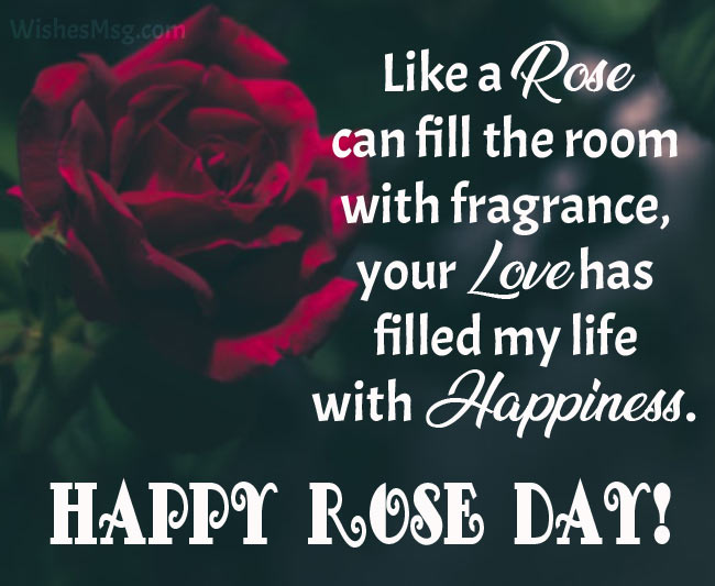 like a rose can fill the room with fragrance, your love has filled my life with happiness happy Rose Day