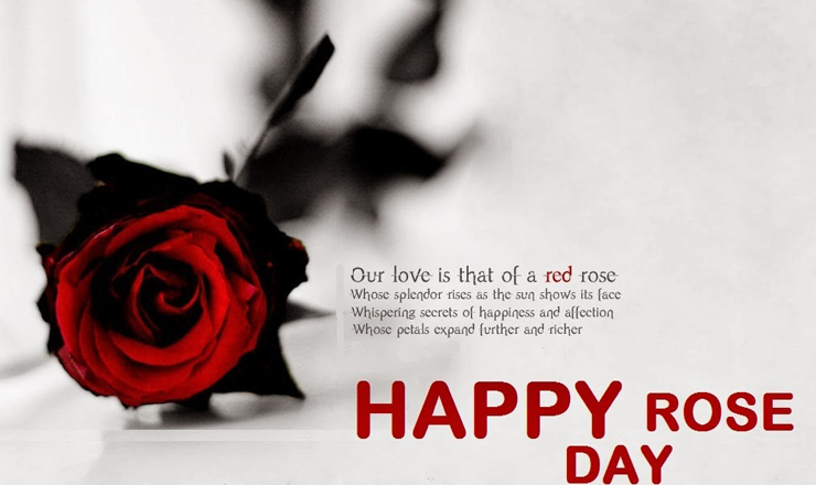 Our Love Is That Of A Red Rose Happy Rose Day