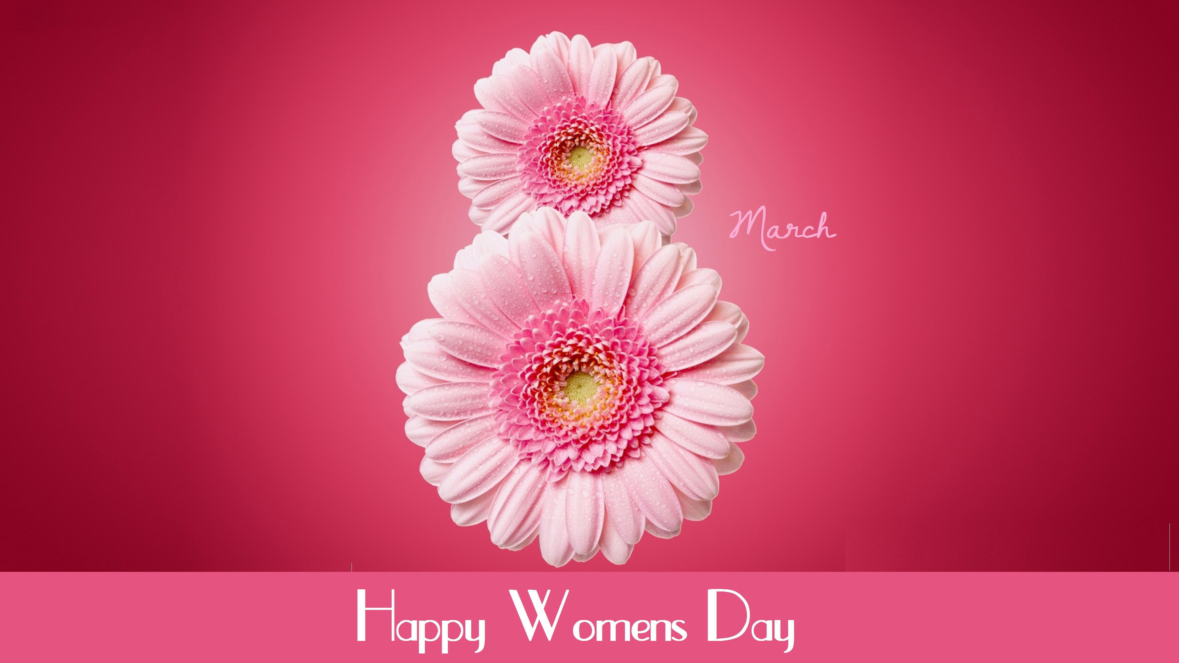 8 march happy women’s day flowers