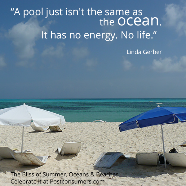 a pool just isn’t the same as the ocean. it has no energy. no life. linda gerber