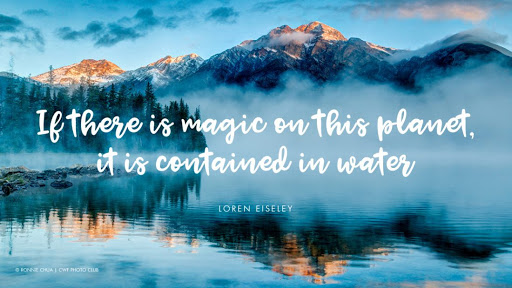 if there is magic on this planet, it is contained in water. loren eiseley