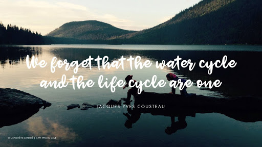 we forget that the water cycle and the life cycle are one.