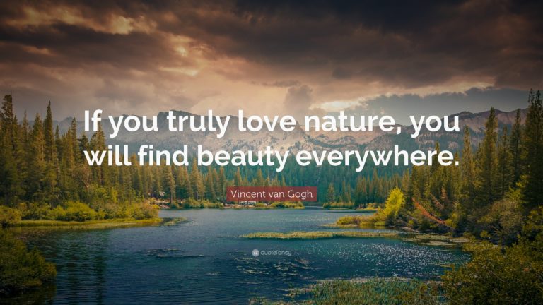 if you truly love nature, you will find beauty everywhere. vincent van gogh