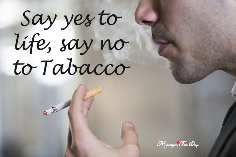 say yes to life, say no to tobacco