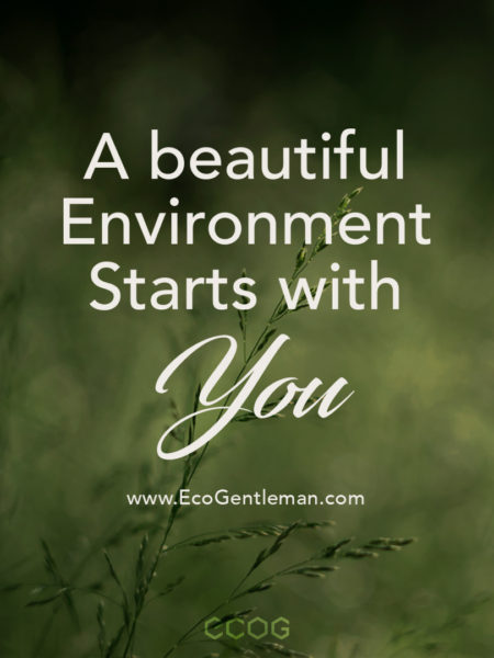 a beautiful environment starts with you.