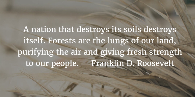 a nation that destroys its soils destroys itself. forests are the lungs of our land, purifying the air and giving fresh strength to our people. franklin d. roosevelt