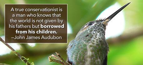 a true conservationist is a man who knows that the world is not given by his fathers but borrowed from his children. john james audubon