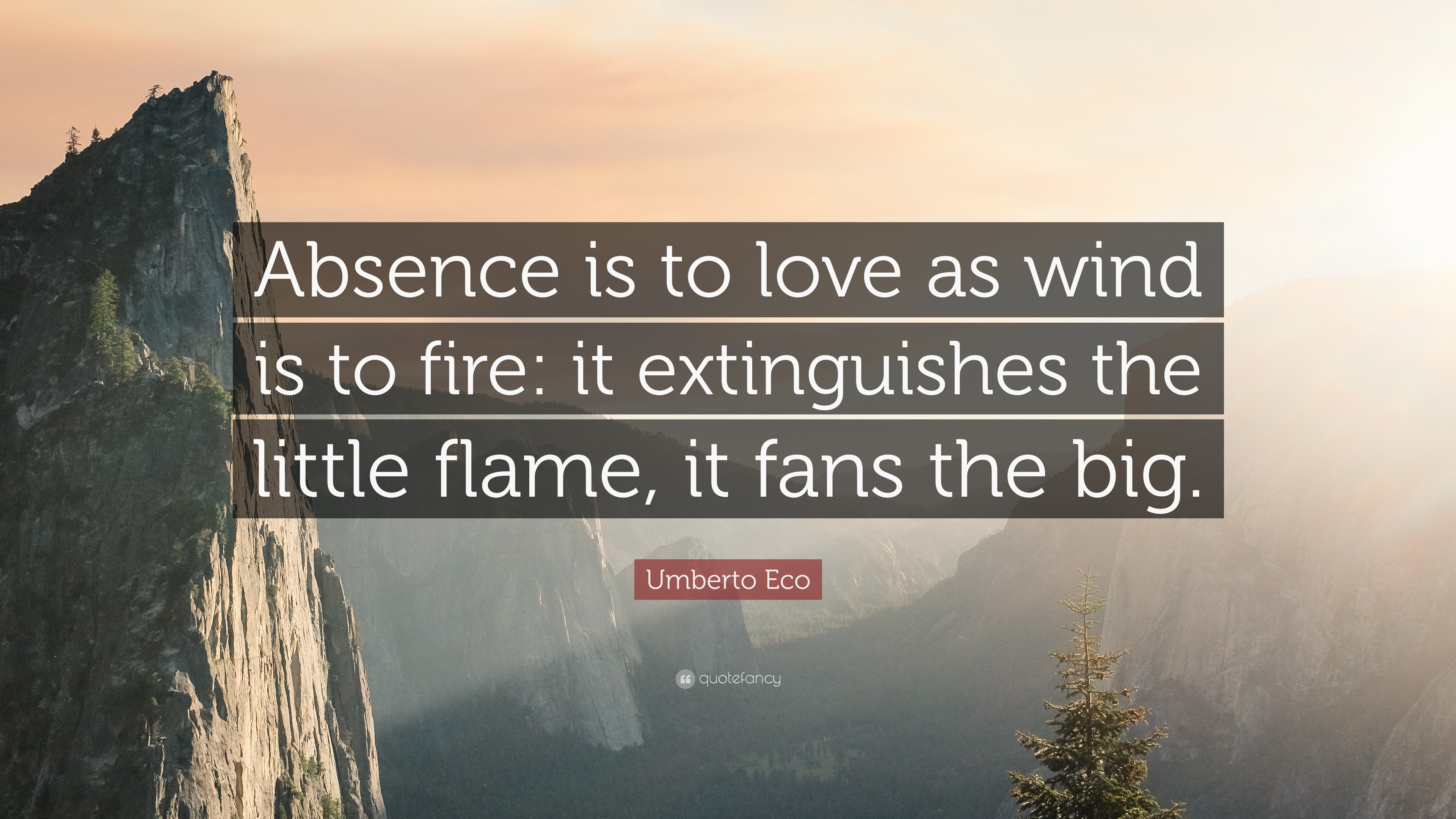 absence is to love as wind is to fire it extinguishes the little flame, it fans the big. umberto eco