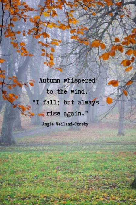 autumn whispered to the wind i fall but always rise again.