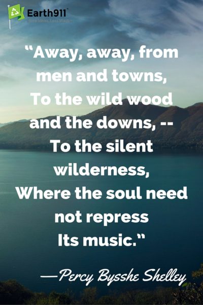 away away away men and towns, to the wild wood and the downs to the silent wilderness where the soul need not repress its music