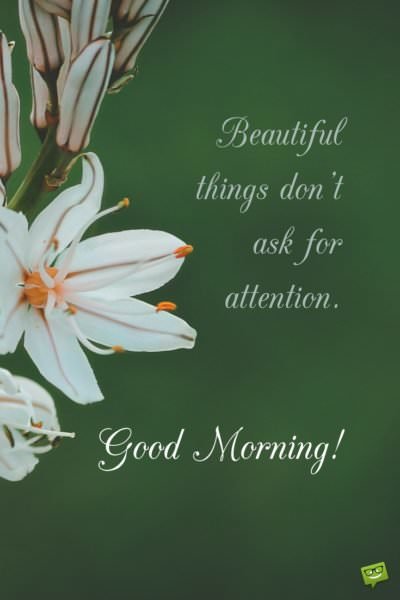 beautiful things don’t ask for attention. good morning