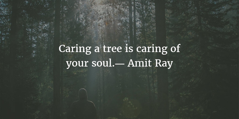 caring a tree is caring of your soul. amit ray