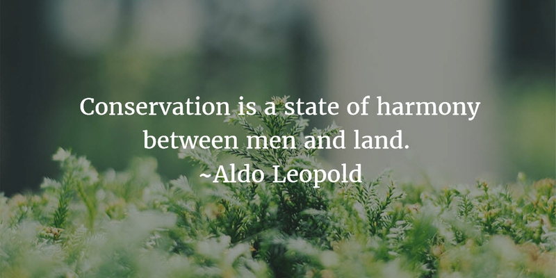 conservation is a state of harmony between men and land. aldo leopold