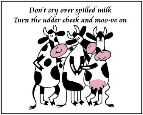 dont cry over spilled milk turn the udder cheek and moo-ve on