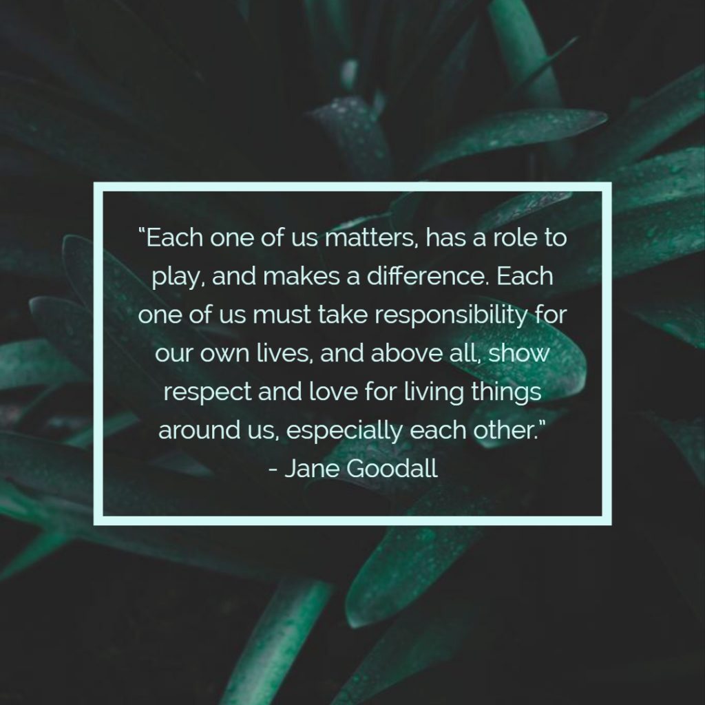 each one of us matters has a role to play and makes a difference. each one of us must take responsibility for our own lives and above all, show respect and love for living things around…