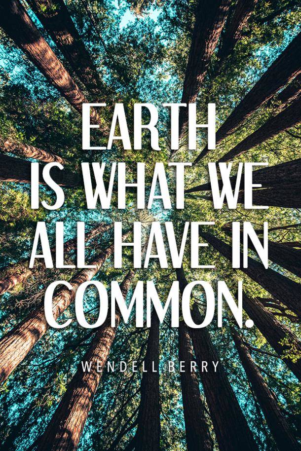 earth is what we all have in common. wendell berry