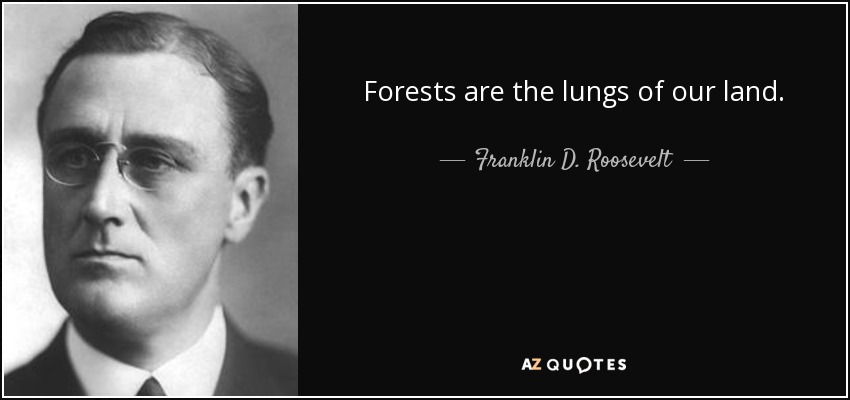 forests are the lungs of our land. franklin d. roosevelt