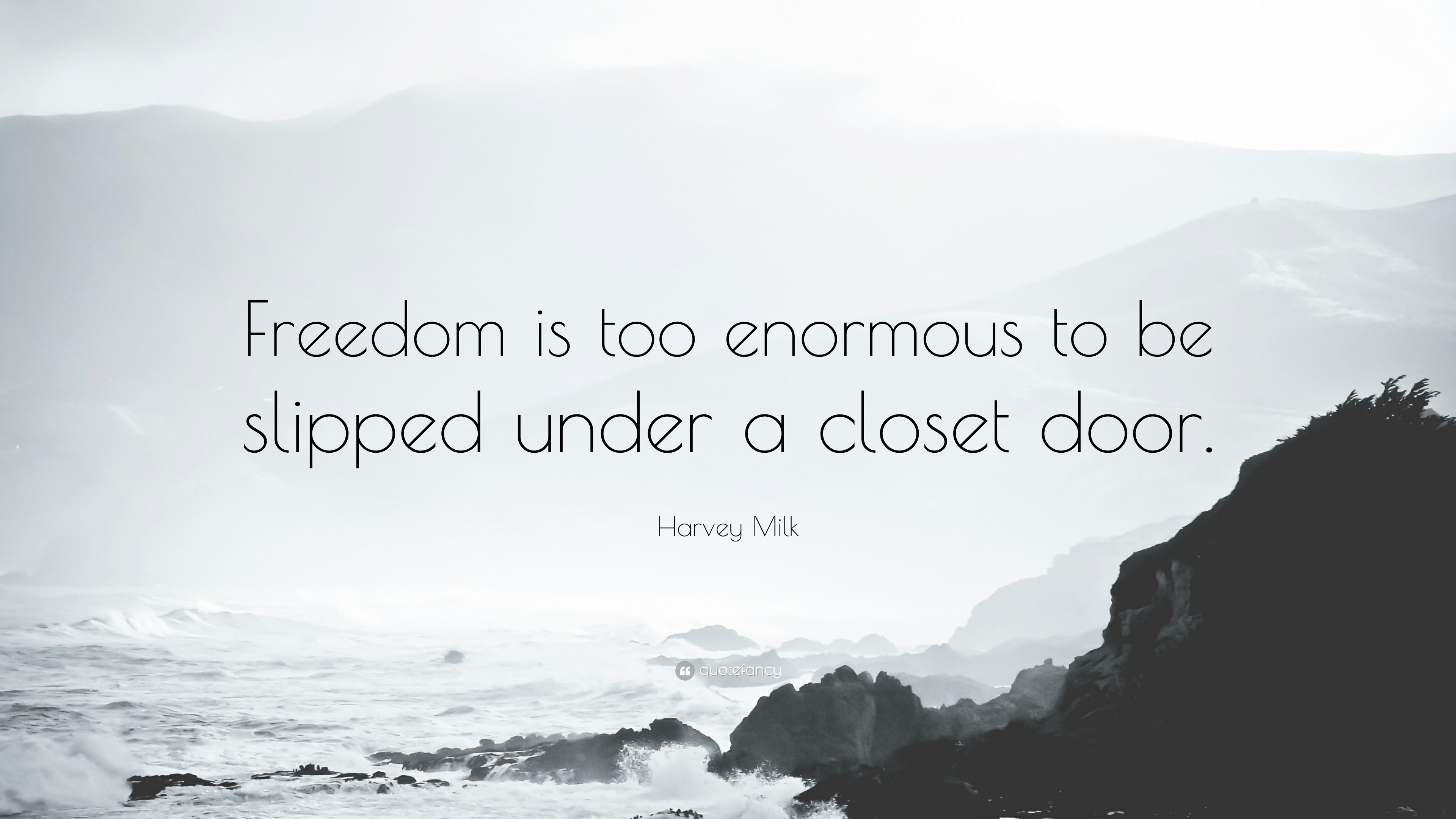 freedom is too enormous to be slipped under a closet door. harvey milk