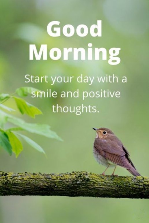 good morning start your day with a smile and positive thoughts