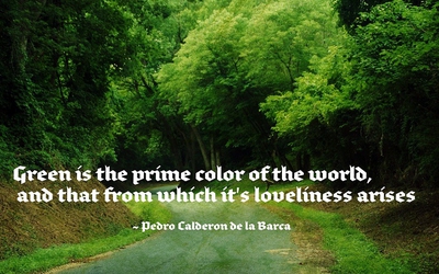 green is the prime color of the world and that from which it’s loveliness arises.