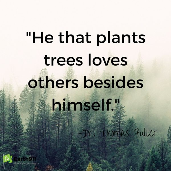 he that plants trees loves others besides himself. dr. thomas fuller