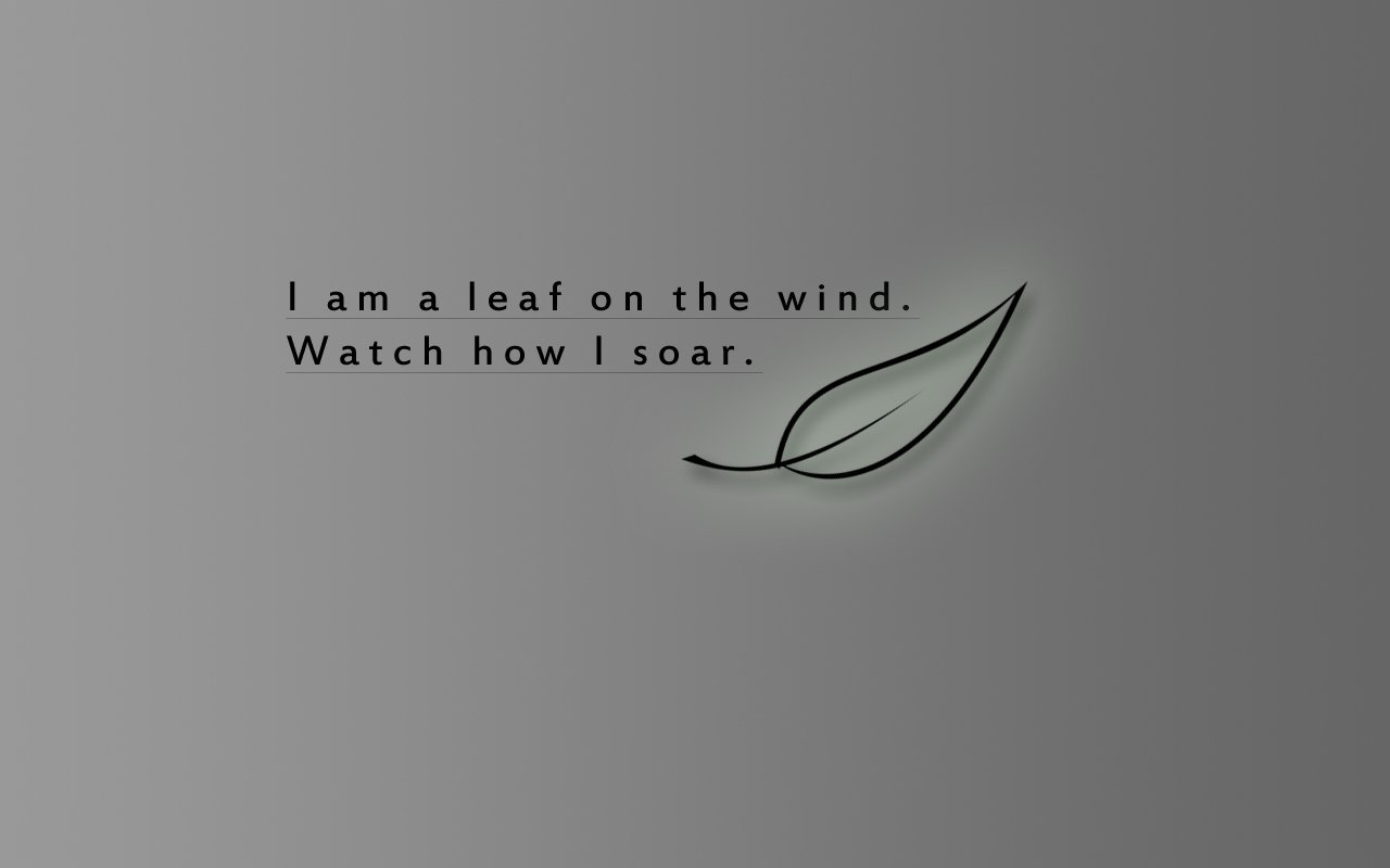 i am a leaf on the wind. watch how i soar