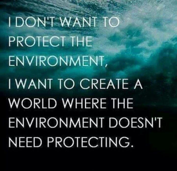 i don’t want to protect the environment i want to create a world where the environment doesn’t need protecting