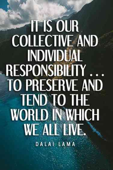 it is our collective and individual responsibility to preserve and tend to the world in which we all live. dalai lama