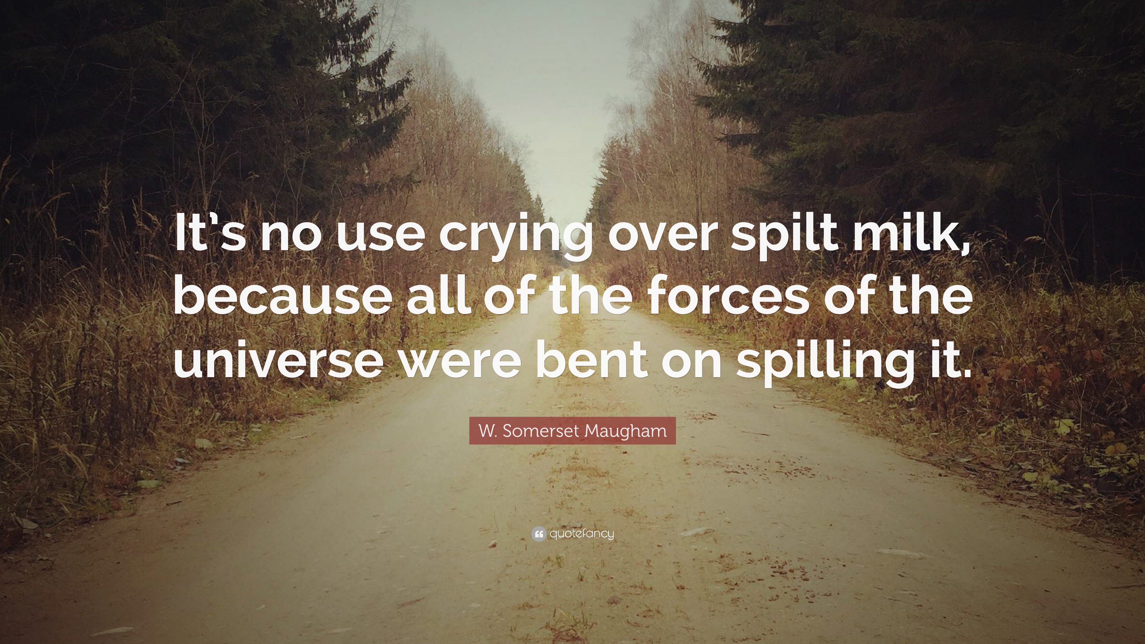 it’s no use crying over spilt milk, because all of the forces of the universe were bent on spilling it. w. somerset maugham