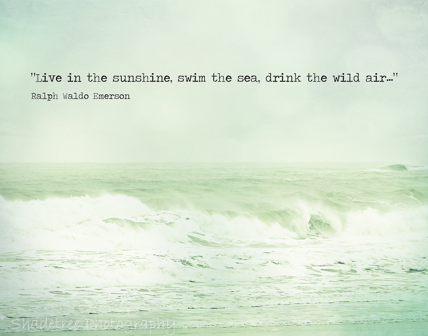 live in the sunshine, swim the sea, drink the wild air. ralph waldo emerson