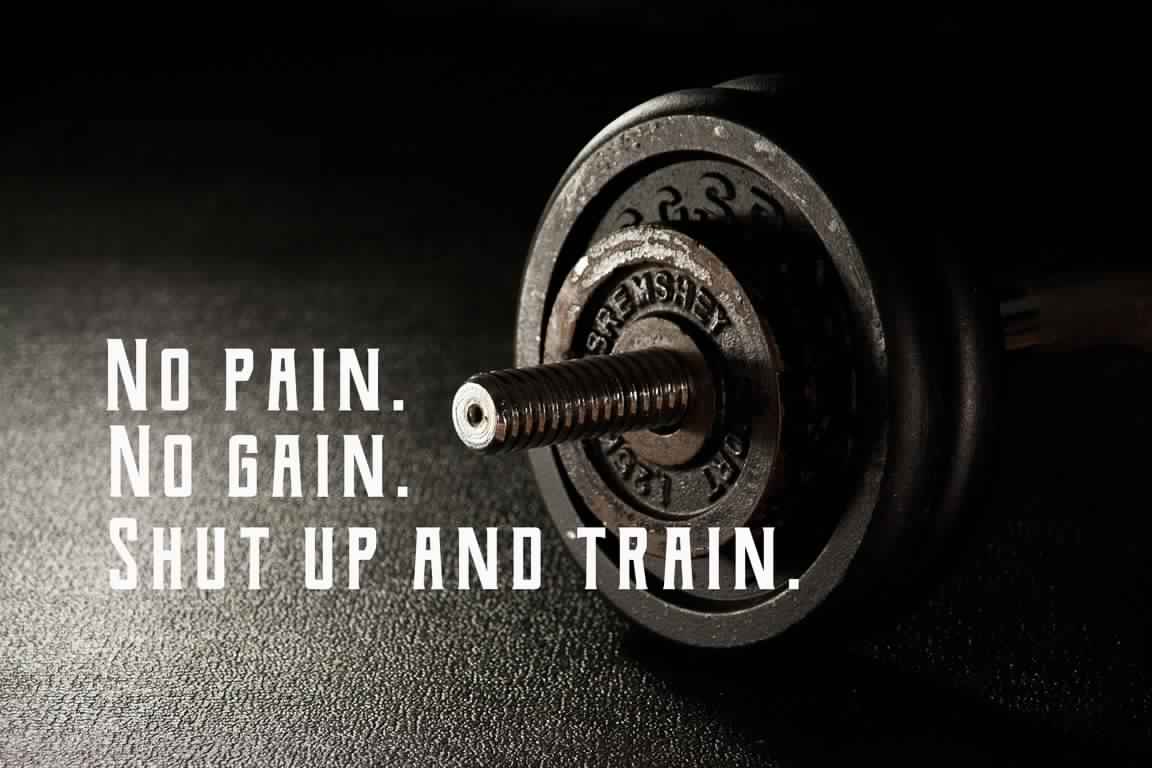 no pain. no gain shut up and train