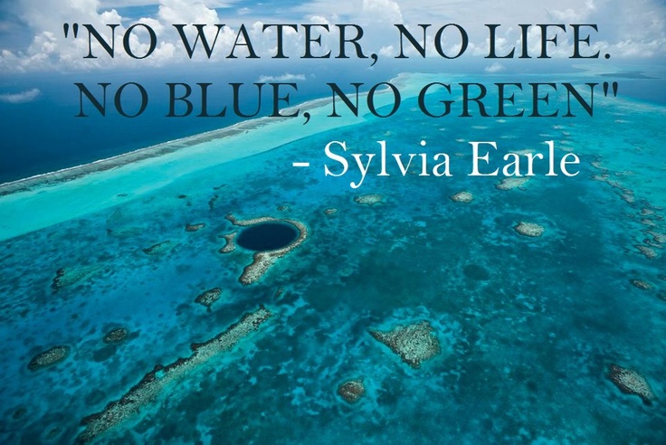 no water, no life. no blue, no green. sylvia earle