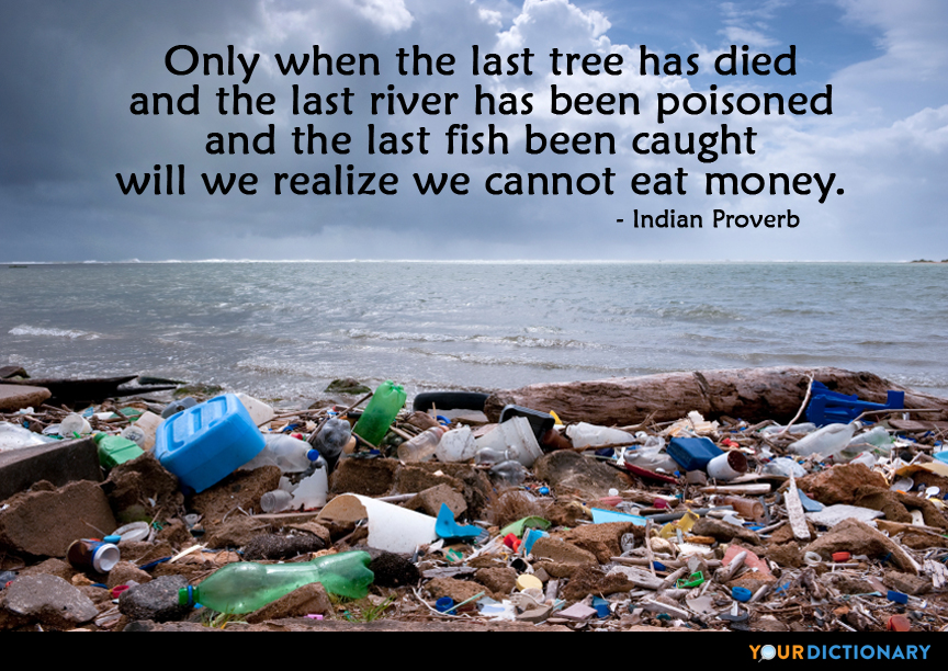 only when the last tree has died and the last river has been poisoned and the last fish been caught will we realize we cannot eat money.