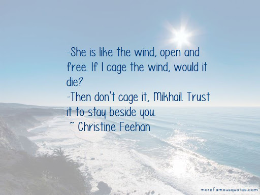 she is like the wind, open and free. if i cage the wind would it die. then dont cage it trust it to say beside you. christine feehan