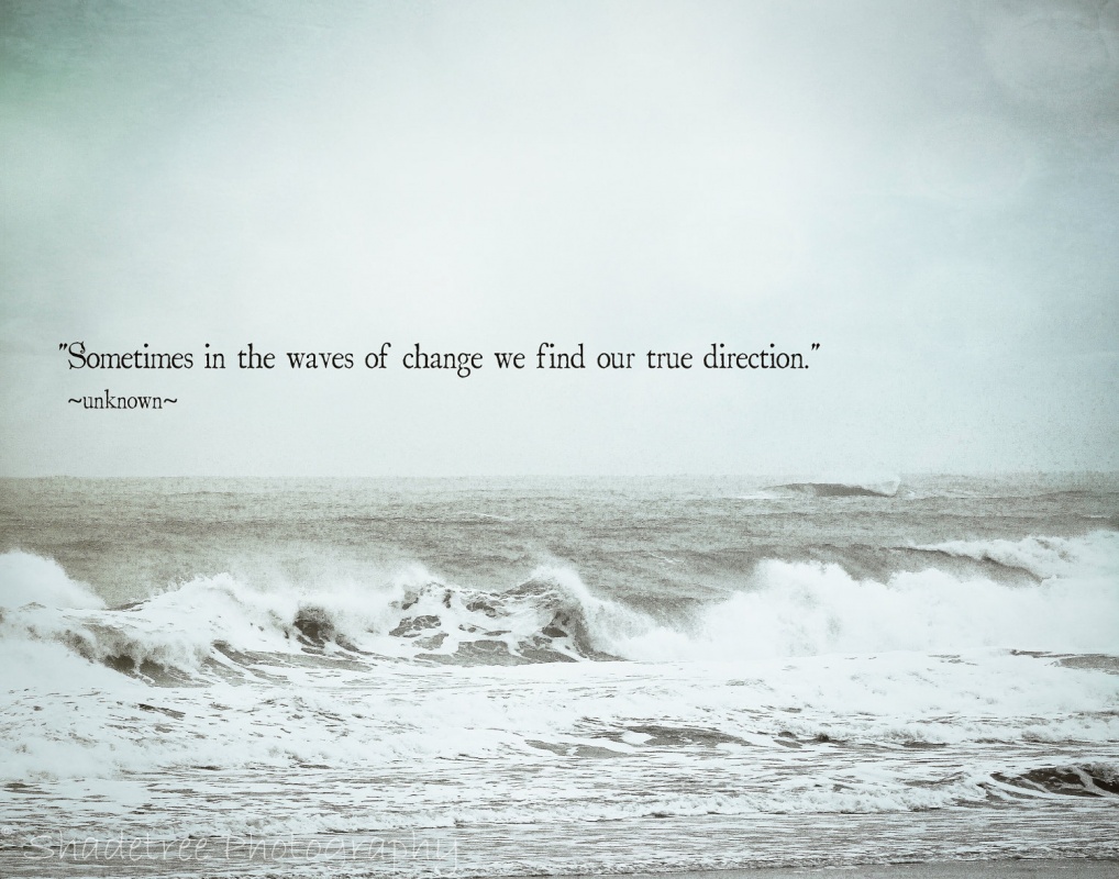 sometimes in the waves of change we find our true direction.