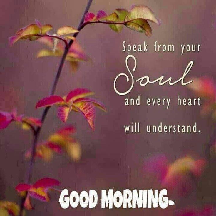 speak from your soul and every heart will understand good morning