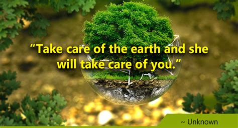 take care of the earth and she will take care of you.