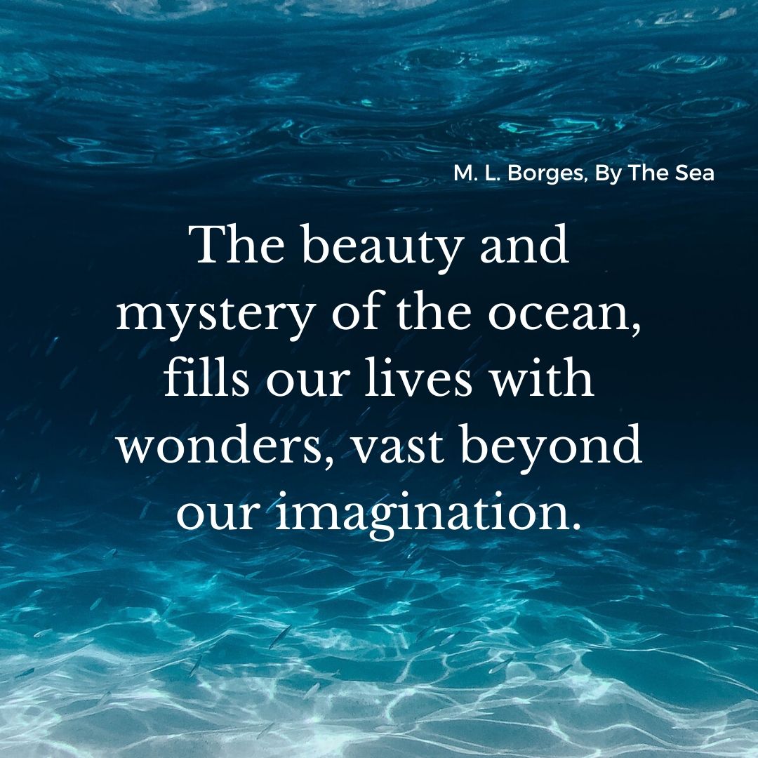 the beauty and mystery of the ocean, fills our lives with wonders vast beyond our imagination