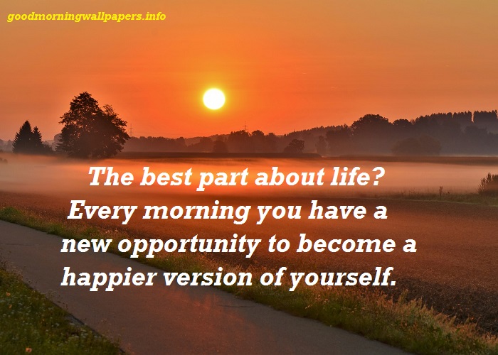 the best part about life. every morning you have a new opportunity to become a happier version of yourself