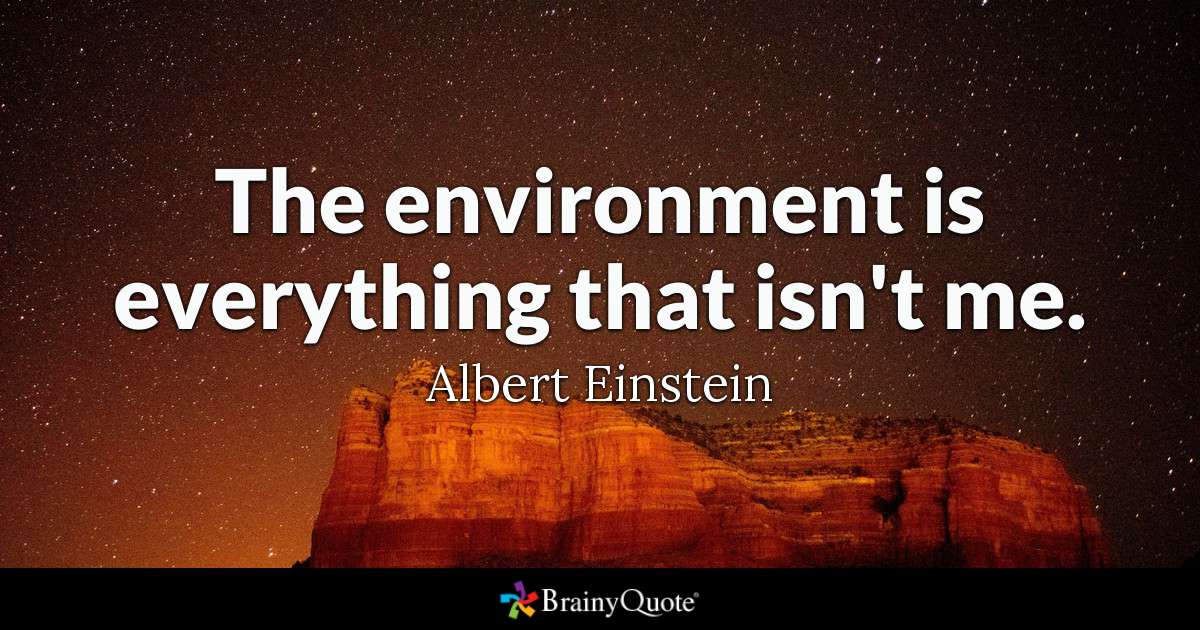 the environment is everything that isn’t me. albert einstein