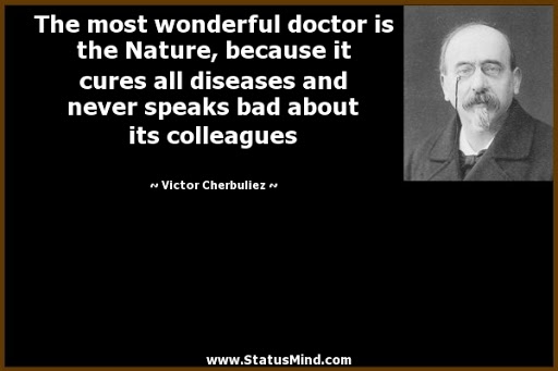 the most wonderful doctor is the nature, because it curses all disease and never speaks bad about its colleagues. victor cherbuliez