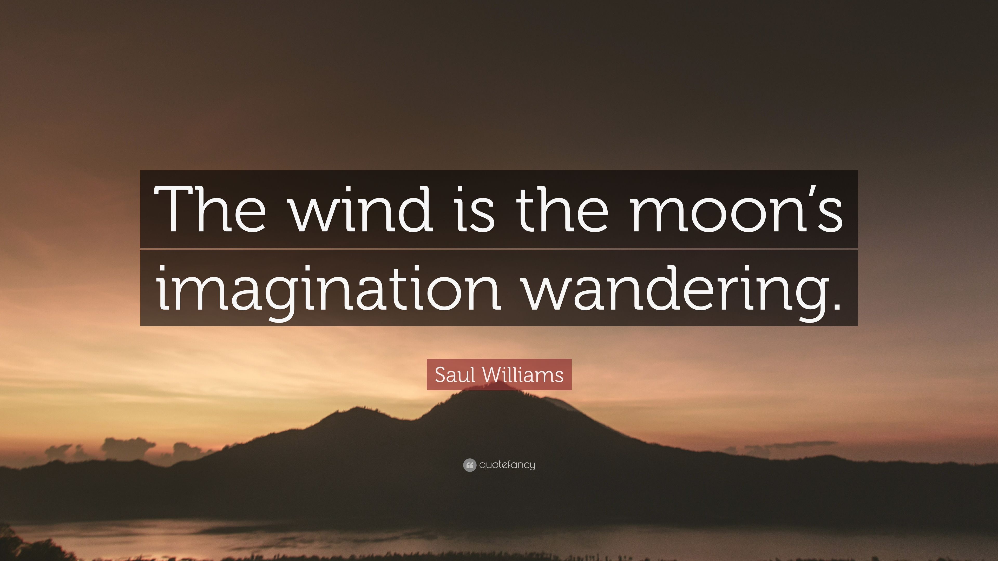 the wind is the moon’s imagination wandering. saul williams