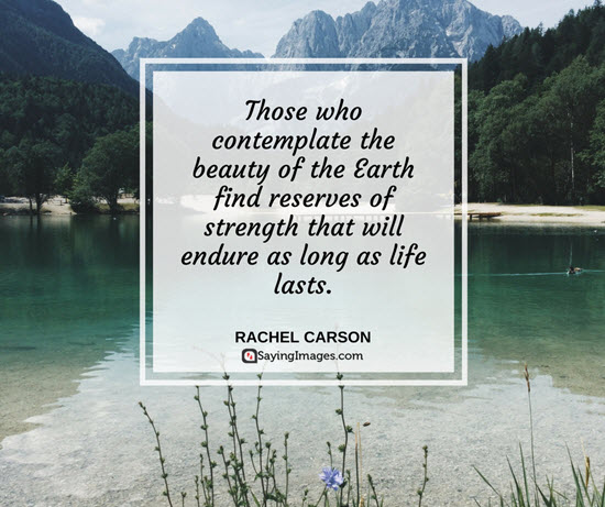 those who contemplate the beauty of the earth find reserves of strength that will endure as long as life lasts. rachel carson