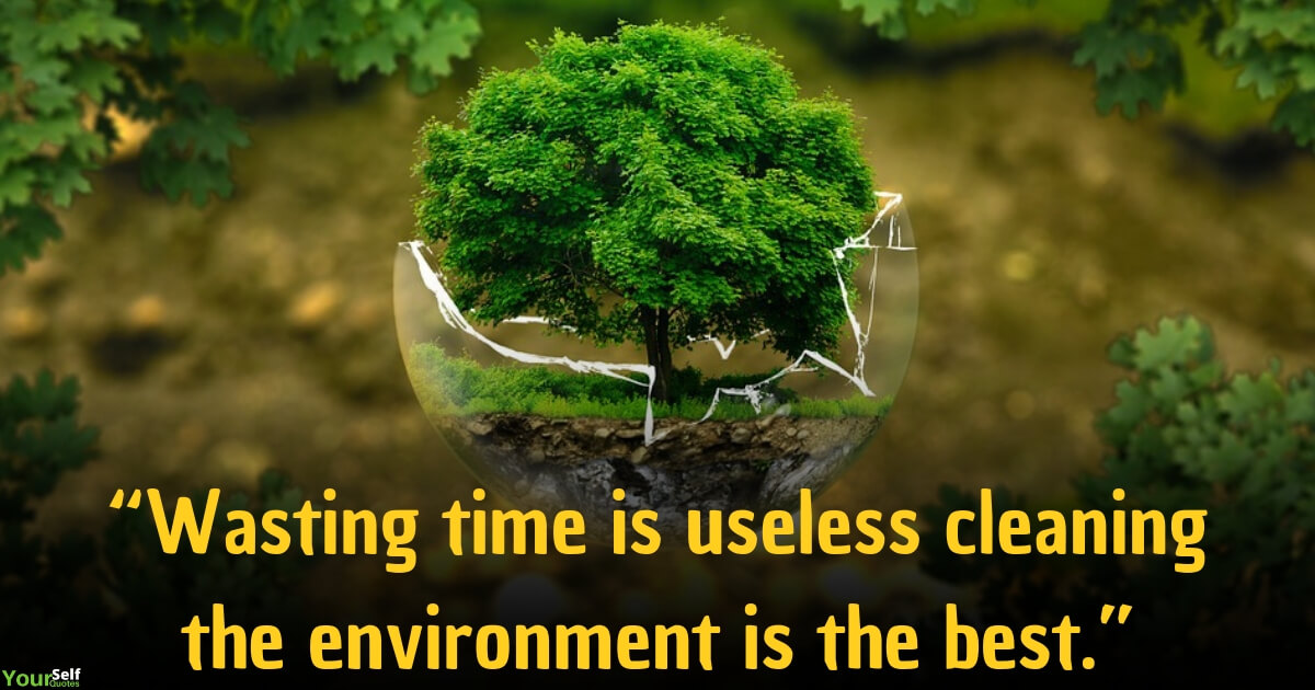 wasting time is useless cleaning the environment is the best