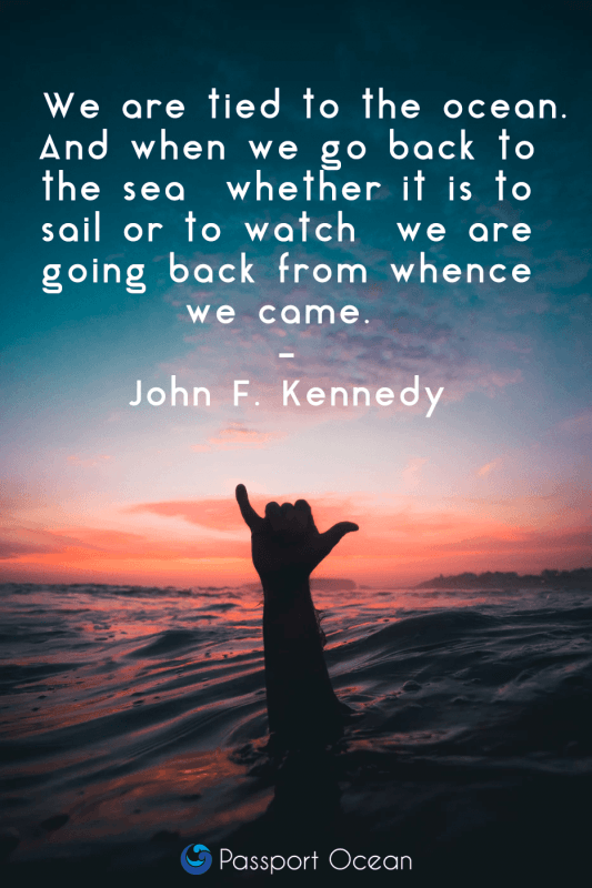 we are tied to the ocena. and when we go back to the sea whether it is to sail or to watch we are going back from whence we came. john f kennedy