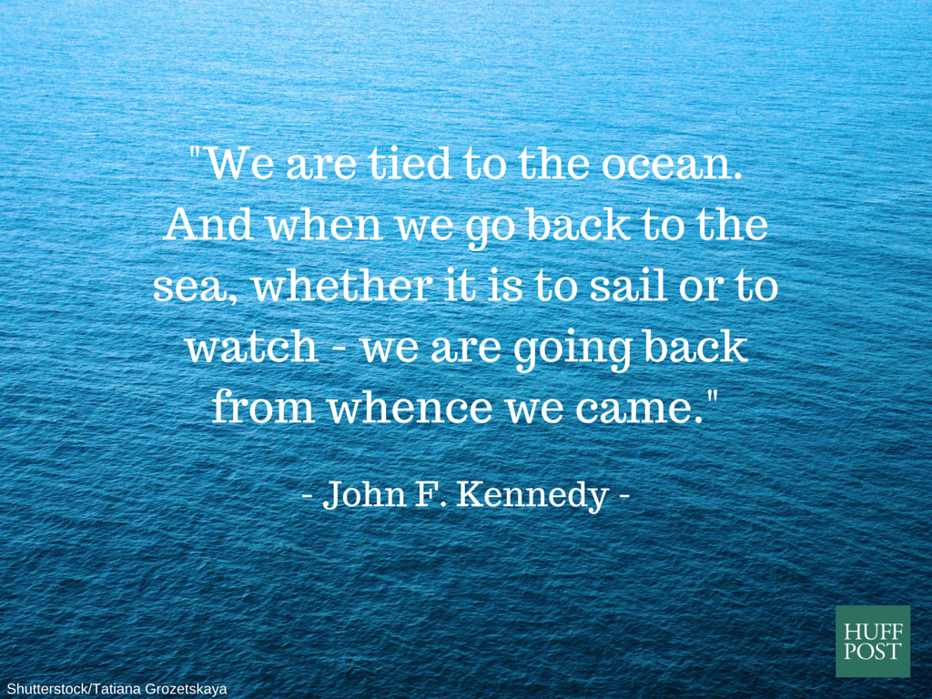 we are tried to the ocean. and when go back to the sea, whether it is to sail or to watch we are going back from whence we came. john f kennedy