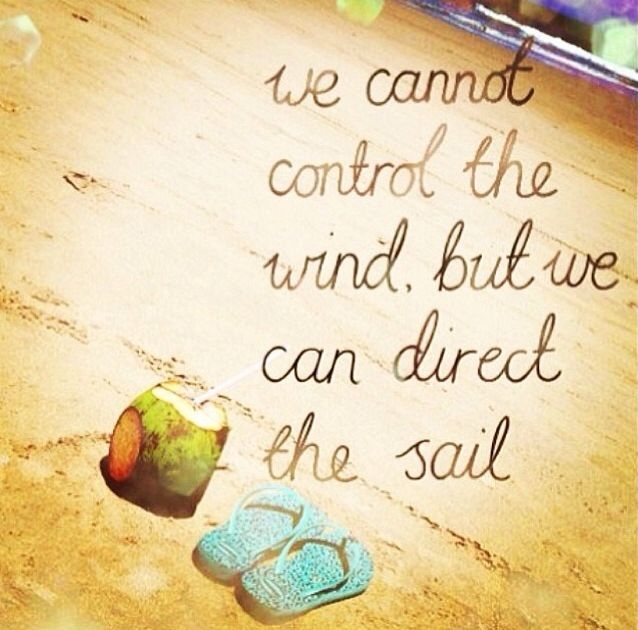 we cannot control the wind, but we can direct the sail