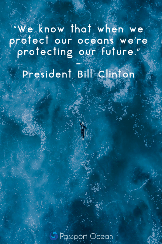 we know that when we protect our oceans we’re protecting our future. bill clinton