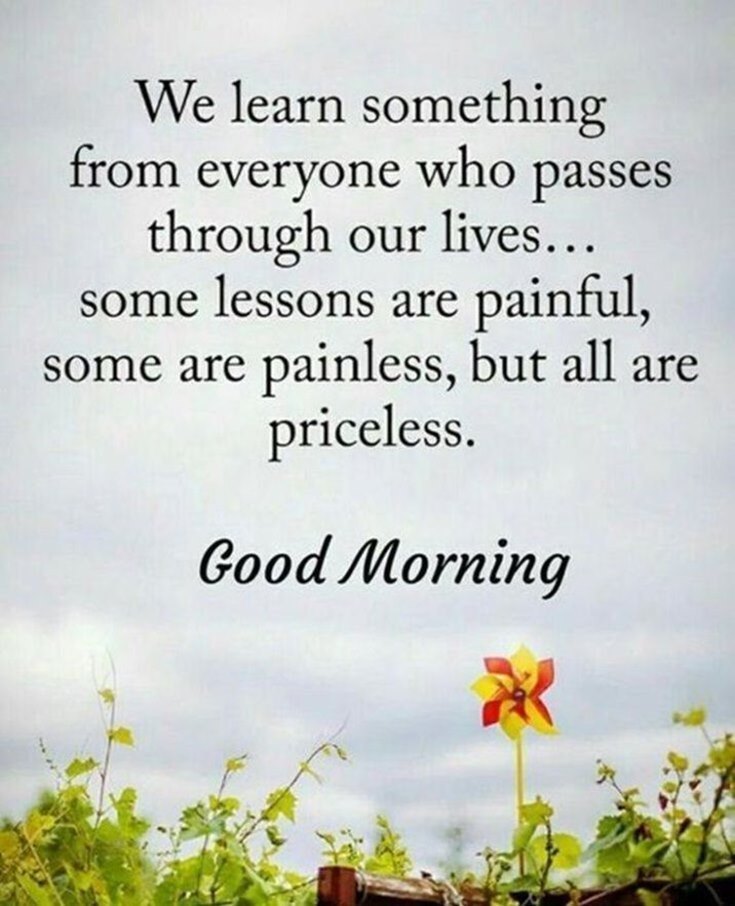 we learn something from everyone who passes through our lives… some lessons are painful, some are painles, but all are priceless.